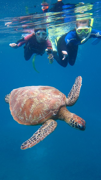 reef
